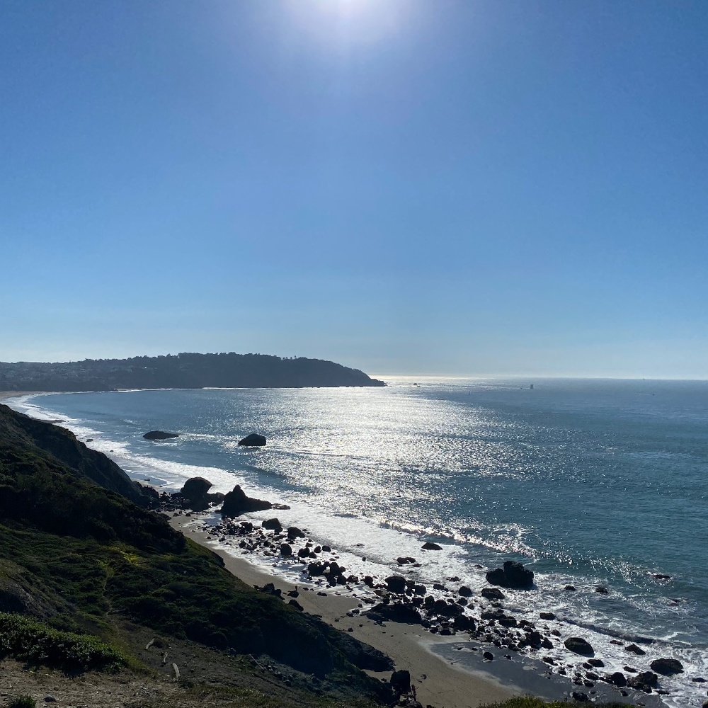 Meet your Posher, Monica